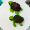 Baby Sea Turtle - Image 2